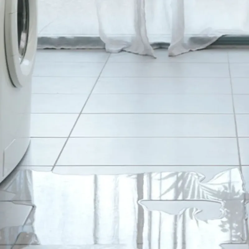 Appliance Leak Cleanup in Denton County, TX