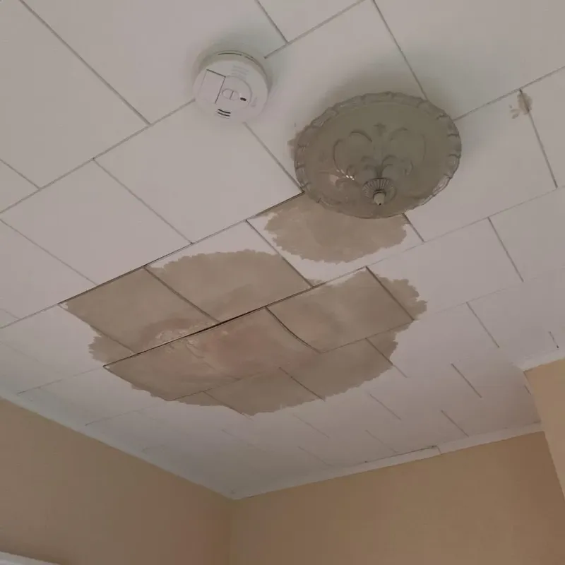 Ceiling Water Damage Repair in Denton County, TX