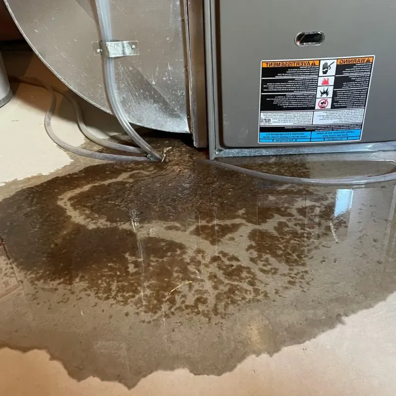 Pipe Burst and Leak Restoration in Denton County, TX