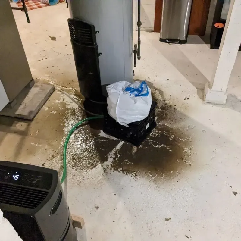 Sewage Backup Cleanup Service in Denton County, TX
